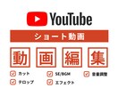 YouTube Shorts用の動画を仕上げます コスパ良し！短時間でプロ並みの仕上がり イメージ2