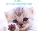 あなたのペットさんに運命の名前を提案します 音・波動・ご縁から導く名づけを イメージ3
