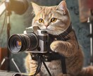 婚活用プロフィール写真など撮影します 雑誌などの撮影をしてきたプロカメラマンによる写真撮影です イメージ1