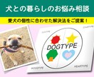 犬との暮らしのお悩み相談します ⭐︎⭐︎愛犬の個性、性格に合わせたご提案をします！ イメージ1