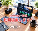 YouTubeやSNSの動画編集を代行します 初心者歓迎】カットからテロップ、効果音まで丁寧に入れます イメージ1