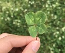 オラクルカードで、貴方へメッセージを送ります オラクルとは神託のことです。ご活躍を後押し致します。 イメージ3