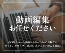 SNS用の動画編集作業します SNSやYouTubeの動画編集します。 イメージ1
