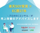 楽天SOY受賞！ECサイト運営を伴走支援します EC歴27年の経験から最適解を提案！ イメージ1