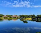 沖縄の風景や自然の写真の対象指定撮影を承ります 逆光に透過された葉の美、沖縄らしい写真 イメージ10