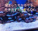 介護疲れ･お悩み お聞きします 現役 介護職員をしています｡介護疲れ･お悩み吐き出しませんか イメージ2
