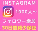 Instagram【高品質】フォロワー増やします ★格安★【30日間保証】インスタ海外フォロワー＋1000人増 イメージ1