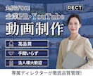 丸投げOK企業向けPRYouTube動画制作します 徹底品質管理！御社のビジネスを加速させるプロの映像制作 イメージ1
