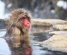 混沌とした人間関係で傷ついたアナタを救い出します 職場/パワハラ/悩み/マウント/ママ友/ストレス/孤立/愚痴 イメージ5