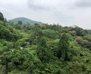 寄り添い、霊視していきます 心を少しでも軽くしていきましょう。 イメージ1