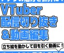 画像アニメーション込のリッチな動画を制作します Vtuber|あなたの魅力を伝える動画へ イメージ1