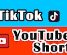 TikTok、YouTubeショート動画作成します まとめて依頼でお得に！同時に2本まで5000円でお承ります。 イメージ1