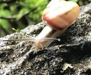 直感力での解決的なアドバイスをします 自分自身での直感力を学び話法・観察力。気付き鍛錬力。 イメージ1