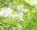 幸せなのに心が晴れない時あなたのお話しお聞きします 1分からOK！夢/結婚/パートナー/子育て/仕事/願望 イメージ6