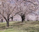 タロットで占います 仕事、お金、恋愛、気になること本格的に占ってみませんか? イメージ1