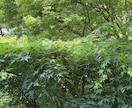 愚痴や悩み聞きます すっきりするお手伝いをします。 イメージ1