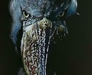 黒紙に色鉛筆でリアルな絵を描きます 黒紙アートとは他にない黒紙に色鉛筆でリアルな絵を描くアート イメージ4