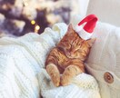 12月23日まで！X’mas限定鑑定行います ※１通鑑定※　あの人の真実の想いに触れる時です。 イメージ6