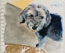 動物の似顔絵制作します アナログでの温かみのある絵になります！ イメージ2