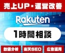 売上が伸びない方必見！プロが楽天運営を診断します 楽天での売上アップや運営改善の悩みを解決します！ イメージ1