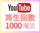 YouTube再生回数1000増加させます 高品質提供＆安心保証付き◎1億再生まで対応可能 イメージ1
