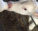 あなたの話！愚痴、悩みをじっくり聞きます 一人で抱えてるあなた！私に重荷を少しだけ降ろして下さい。 イメージ1