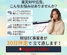 お試し1ヶ月｜楽天市場RPP広告を運用代行します 支援50社以上の現役EC運用担当が対応｜分析レポート付き イメージ2
