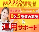 限定価格★ 楽天市場 0と5施策を完全代行します 【半額セール】売上UP！楽天0と5施策運用で差をつけよう！ イメージ1