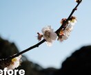 SNS映えする写真に仕上げます 一枚一枚丁寧にレタッチし、写真の魅力を最大限引き出します！ イメージ6