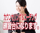 カウンセリング＆コーチングの練習台になります 強烈なメタファーを利用した…オリジナルスタイル確立の為に！ イメージ1