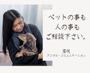 霊視【ペットロスを体験】している私がお伝えします ペットを亡くした/ペットロス/寄り添アドバイス/ペットは家族 イメージ2