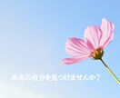 あなたの育児と子供のお悩みをお聴きします 1人で抱えている『子育ての心のオモリ』を解放します！ イメージ3