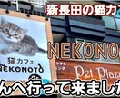 YouTube動画編集します YouTube動画、サムネイルOK! イメージ5