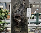 ご縁や人間関係を整理する参拝を丁寧に代行します お気持ちを整理し、前に進みたい方へ【写真報告付】 イメージ2