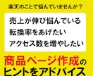 楽天のページ作成についてのアドバイスをします EC経験20 年以上、楽天商品ページ作成のヒントをアドバイス イメージ1