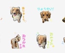 LINEスタンプ作成します 愛犬や愛猫、お子さん等、お写真を使用したLINEスタンプ⭐︎ イメージ4