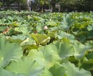 写真撮るのが好きです。よろしくお願いします 写真撮るの好きです。よろしくお願いします。 イメージ2