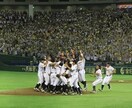 野手専門で教えます 色んな野球を体感しよう^_^これであなたも上手くなる(^^) イメージ1