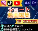SNS用ショート動画作成を承ります TikTok・Instagram・YouTube対応 イメージ1