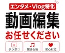 エンタメ・Vlogに特化した動画を制作します 【トークの間やテンポ感を重視、最後まで見たくなる動画編集！】 イメージ1