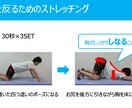 セルフエクササイズのパンフレット作成します 整体や病院で患者さんに提供するパンフレット代わりに作ります イメージ1