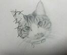鉛筆で動物の似顔絵を描きます 写真を元に丁寧に模写させていただきます。 イメージ1