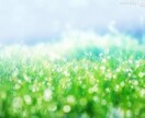 問題解決等のフリーセッションします 現状の行き詰まりを取りたい方へ イメージ1