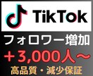 TikTokのフォロワー+3,000人〜増加します TikTokのフォロワー増加｜【30日間減少保証付き】高品質 イメージ4