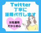 分析ツール利用でTwitter1ヶ月運用代行します 全て手動で大切に運用代行させていただきます。 イメージ1