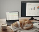 フルリモート事務サポート｜Excel対応します 正確さと安定運用を大切にする事務サポート イメージ1