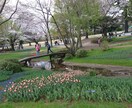脳梗塞やうつ病が改善します 驚くほど頭がスッキリして、体も軽く毎日ハッピー♪ イメージ2