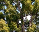 こんな写真をとご要望が頂ける様精進いたします どのような写真がご入り用ですか。 イメージ3