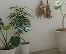 龍神様を味方につけて幸運が舞い込むお部屋にします ちょっとした工夫で普段過ごす部屋を「パワースポット化」しよう イメージ6