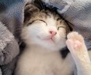 ほっと一息つきませんか？色んなお悩みにお応えします １分からOK❤️なんでも寄り添います♥️ イメージ2
